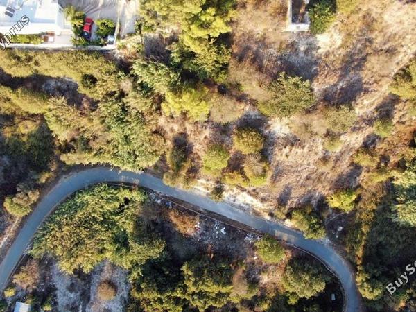 plot for sale tsada paphos 8442124 image 15062786