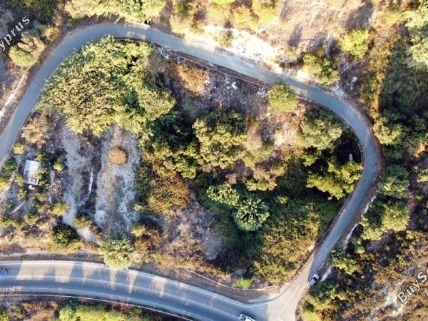 plot for sale tsada paphos 8442124 image 15062787
