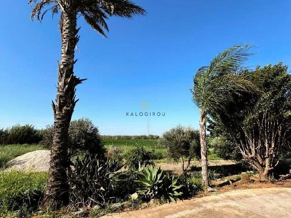 5 bedroom semi detached house for sale ormideia larnaca 1324224 image 9720684