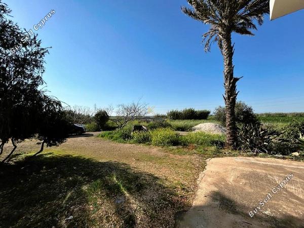 5 bedroom semi detached house for sale ormideia larnaca 1324224 image 9720686