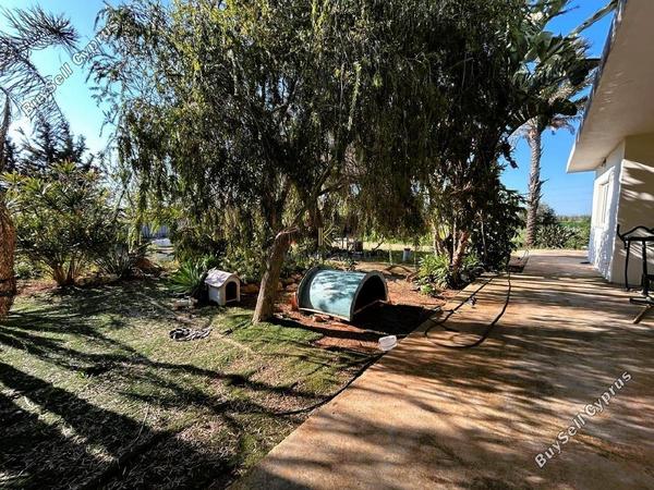 5 bedroom semi detached house for sale ormideia larnaca 1324224 image 9720688