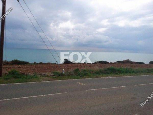 land for sale agios theodoros larnacas larnaca 1146224 image 13965854