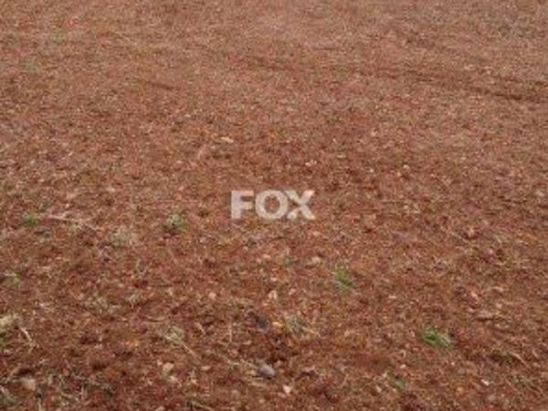 land for sale agios theodoros larnacas larnaca 1146224 image 13965855