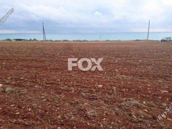 land for sale agios theodoros larnacas larnaca 1146224 image 13965856