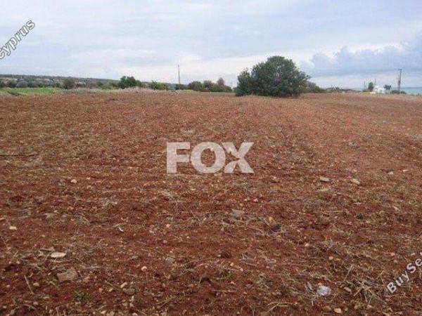 land for sale agios theodoros larnacas larnaca 1146224 image 13965857