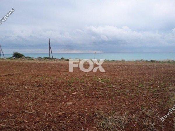 land for sale agios theodoros larnacas larnaca 1146224 image 13965858