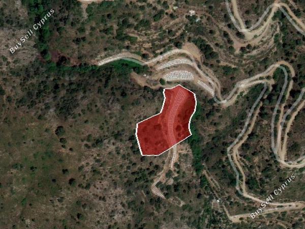 land for sale odou larnaca 8716224 image 16295208