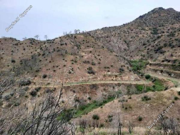 land for sale odou larnaca 8716224 image 16295209