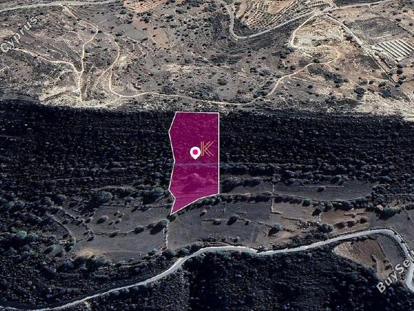 land for sale pachna limassol 1650224 image 5666947