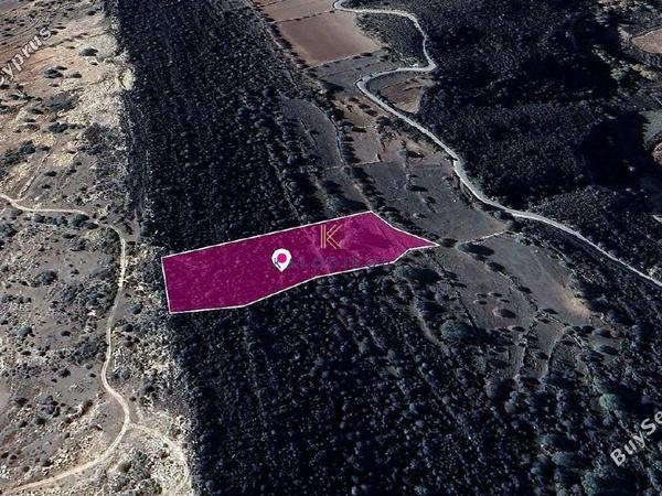 land for sale pachna limassol 1650224 image 5666951