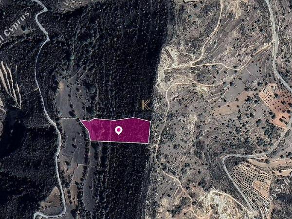 land for sale pachna limassol 1650224 image 5666953