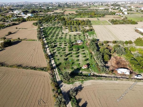 land for sale pera orinis nicosia 8630224 image 17142953