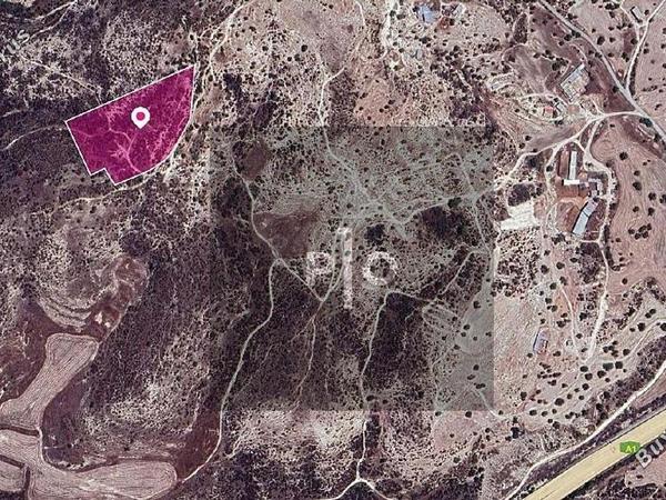 land for sale skarinou larnaca 8275224 image 15158437