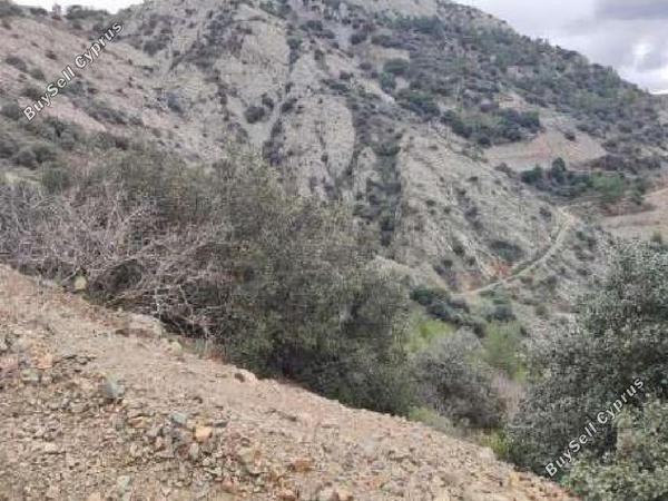 land for sale sykopetra limassol 1674224 image 15597439