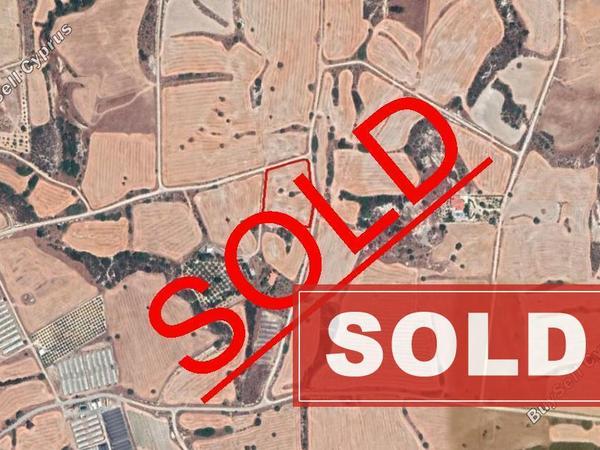land sold maroni larnaca 831224 image 4744078