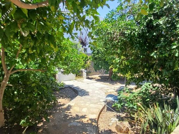 4 bedroom detached house for rent meneou larnaca 8744324 image 17936823