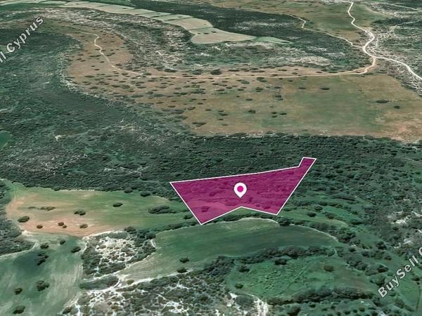 land for sale agios theodoros larnacas larnaca 8629324 image 15867305