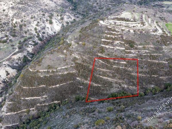 land for sale dora limassol 839424 image 5480641