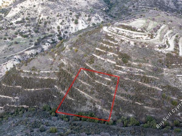 land for sale dora limassol 839424 image 5480646