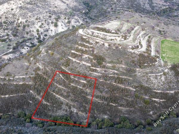 land for sale dora limassol 839424 image 5480651