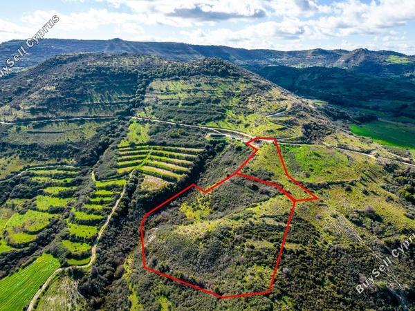 land for sale dora limassol 993424 image 15868805