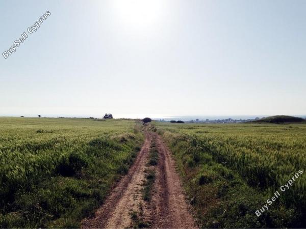 land for sale kouklia pafou paphos 7756424 image 10325336