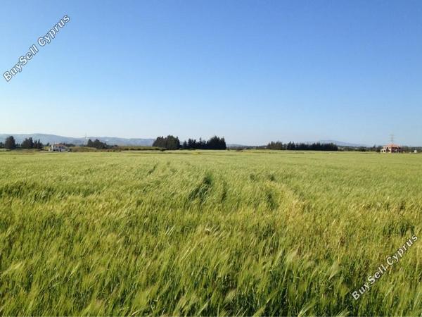 land for sale kouklia pafou paphos 7756424 image 10325337