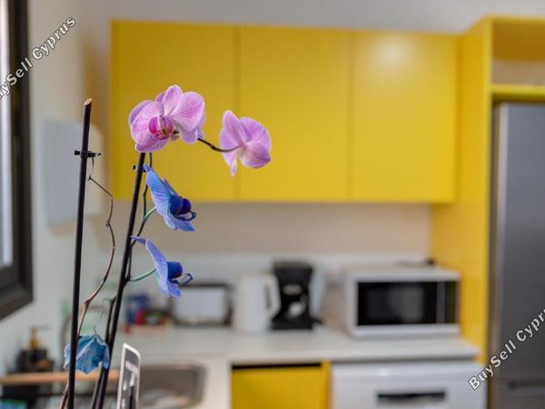 studio office for sale agia zoni limassol 8758424 image 16517934