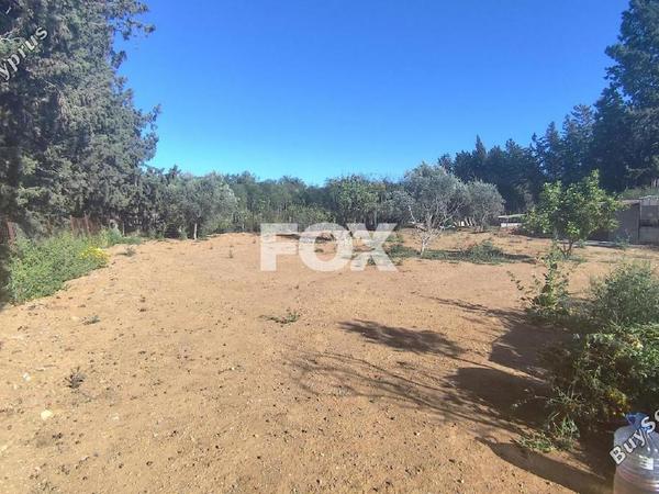 studio warehouse for rent trachoni lemesou limassol 1755424 image 14175508