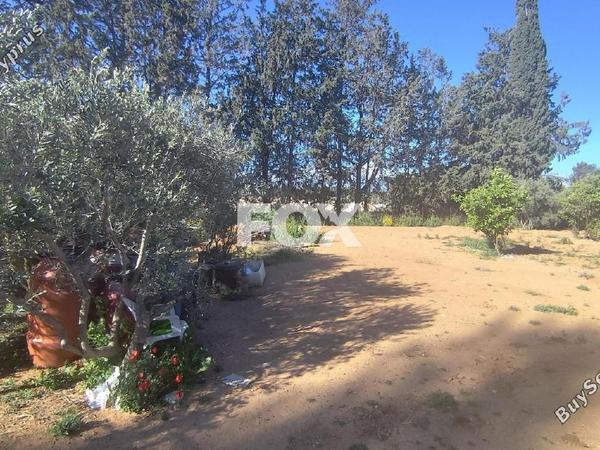 studio warehouse for rent trachoni lemesou limassol 1755424 image 14175513