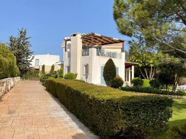 3 bedroom detached house for sale baths of aphrodite paphos 1446524 image 13605334