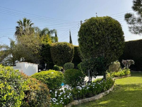 3 bedroom detached house for sale baths of aphrodite paphos 1446524 image 13605360