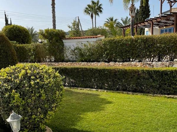 3 bedroom detached house for sale baths of aphrodite paphos 1446524 image 13605361