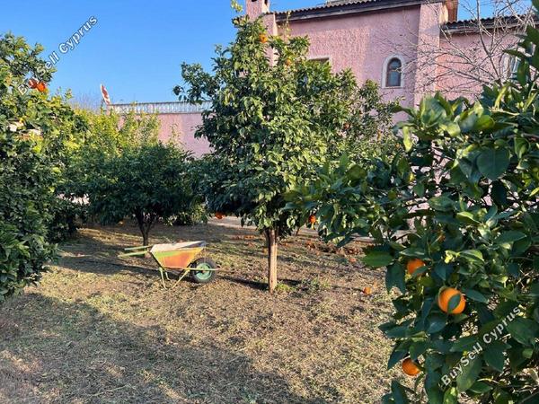 5 bedroom detached house for sale shia nicosia 1173524 image 5823648