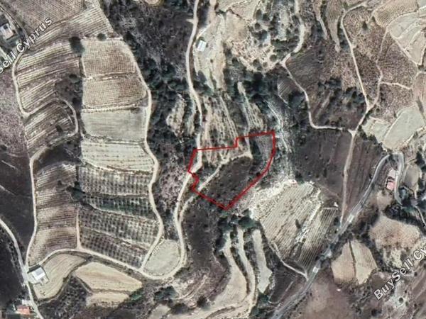land for sale kilinia paphos 8630524 image 17113114