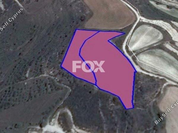 land for sale tsada paphos 1158524 image 5486666
