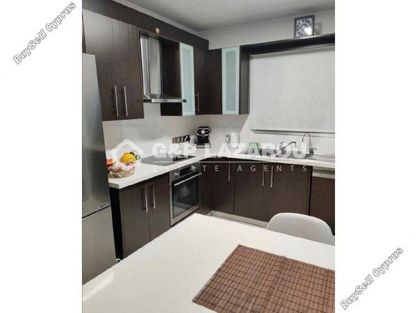 2 bedroom apartment for rent agios andreas nicosia nicosia 8101624 image 13210009