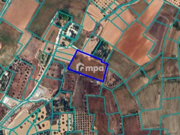 land for sale agioi trimithias nicosia 7660624 image 9949300