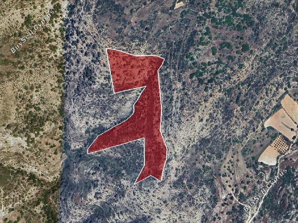 land for sale dora limassol 8338624 image 15595990