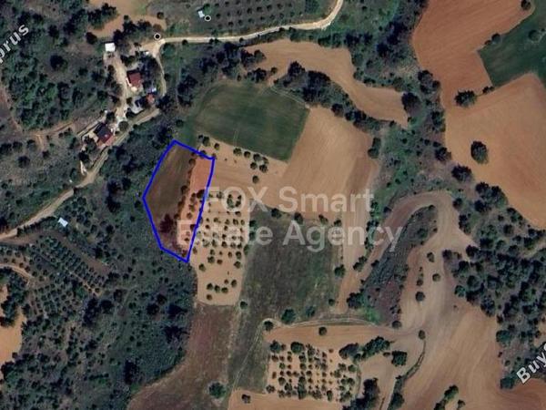 land for sale klirou nicosia 1835624 image 6512550