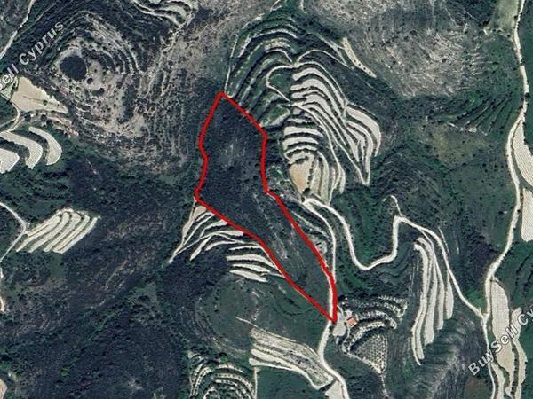 land for sale koili paphos 1611624 image 15177674