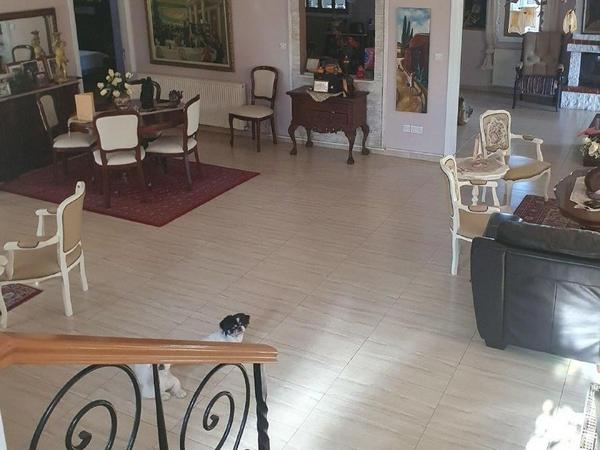 5 bedroom detached house for sale pervolia larnaca 1796724 image 15151409