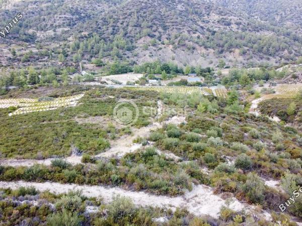 land for sale agios mamas limassol 1658724 image 15979442