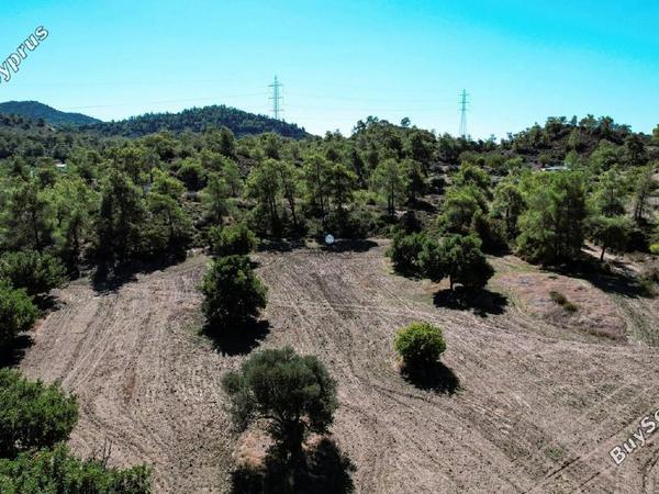 land for sale kornos larnaca 1554724 image 5657722
