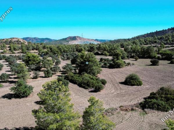 land for sale kornos larnaca 1554724 image 5657725