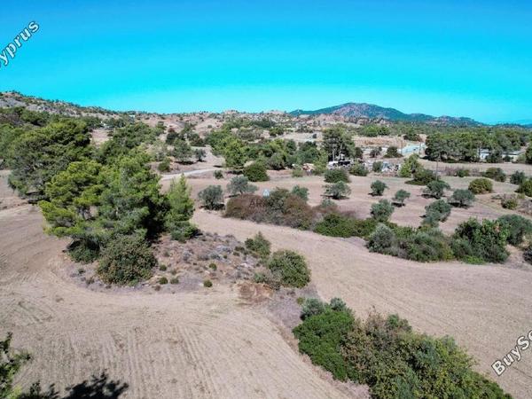 land for sale kornos larnaca 1554724 image 5657728