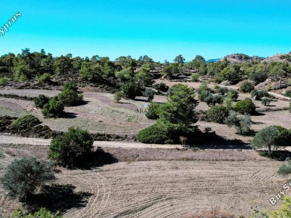 land for sale kornos larnaca 1554724 image 5657731