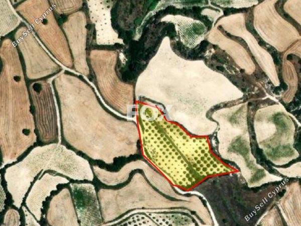 land for sale letymvou paphos 1159724 image 14827183