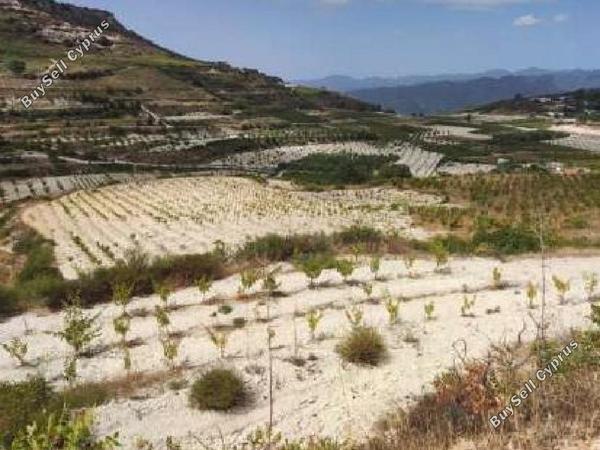 land for sale omodos limassol 8526724 image 16512441
