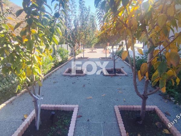 3 bedroom detached house for sale kalo chorio lemesou limassol 1146824 image 15487775